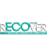 Logo Recorweb